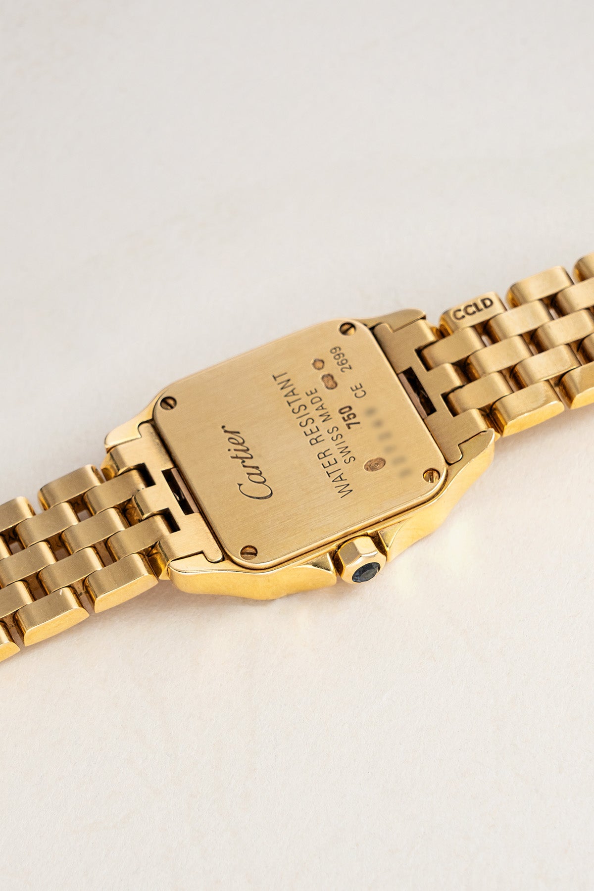 Santos Demoiselle 2699