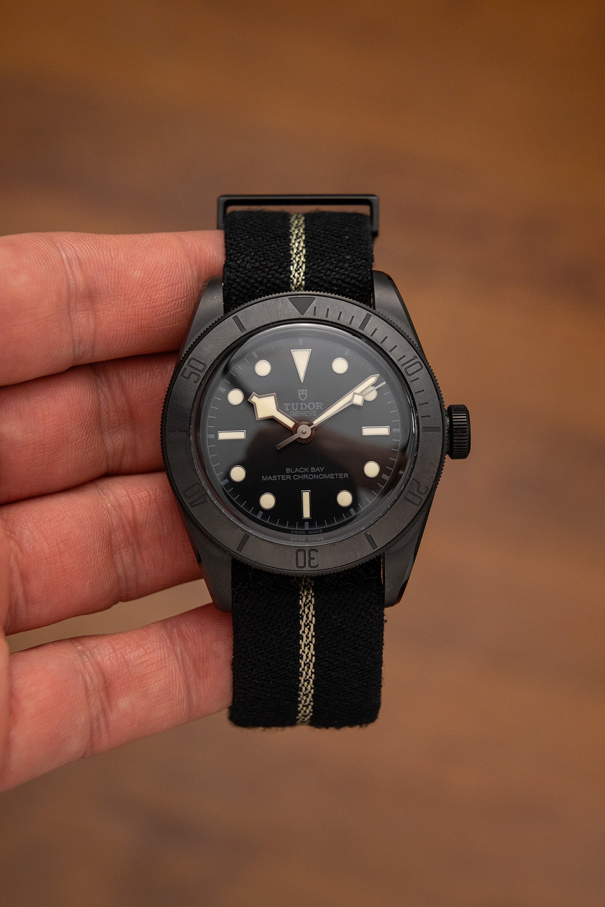 Tudor Black Bay 79210C