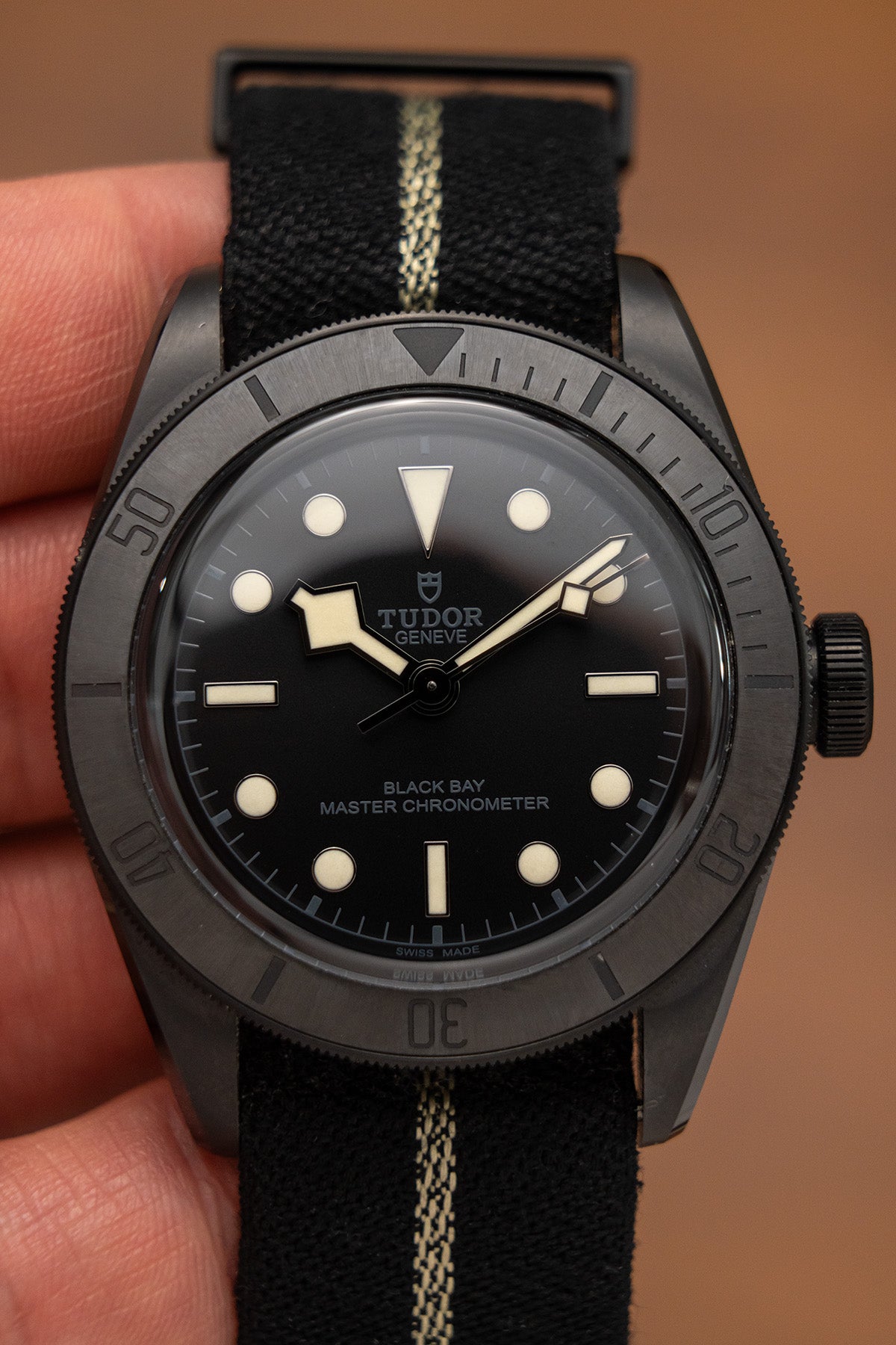 Tudor Black Bay 79210C