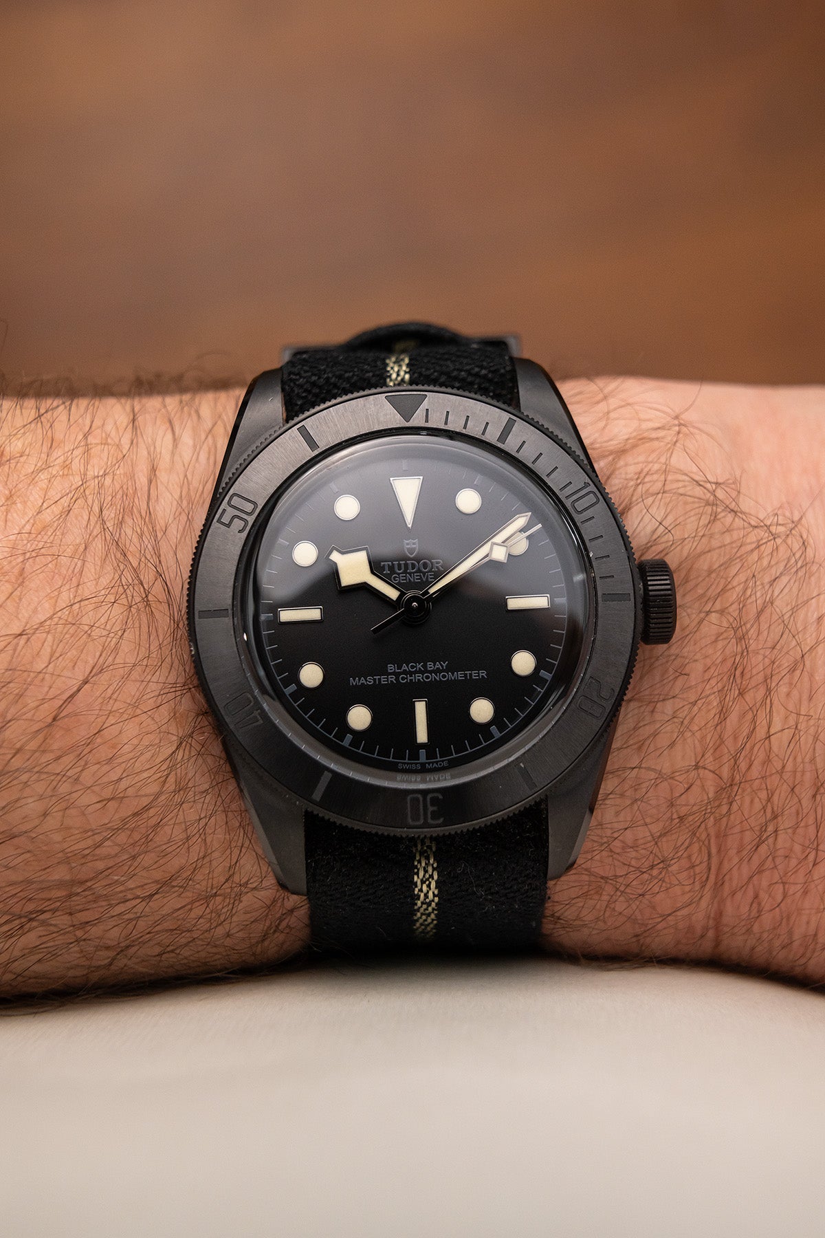 Tudor Black Bay 79210C