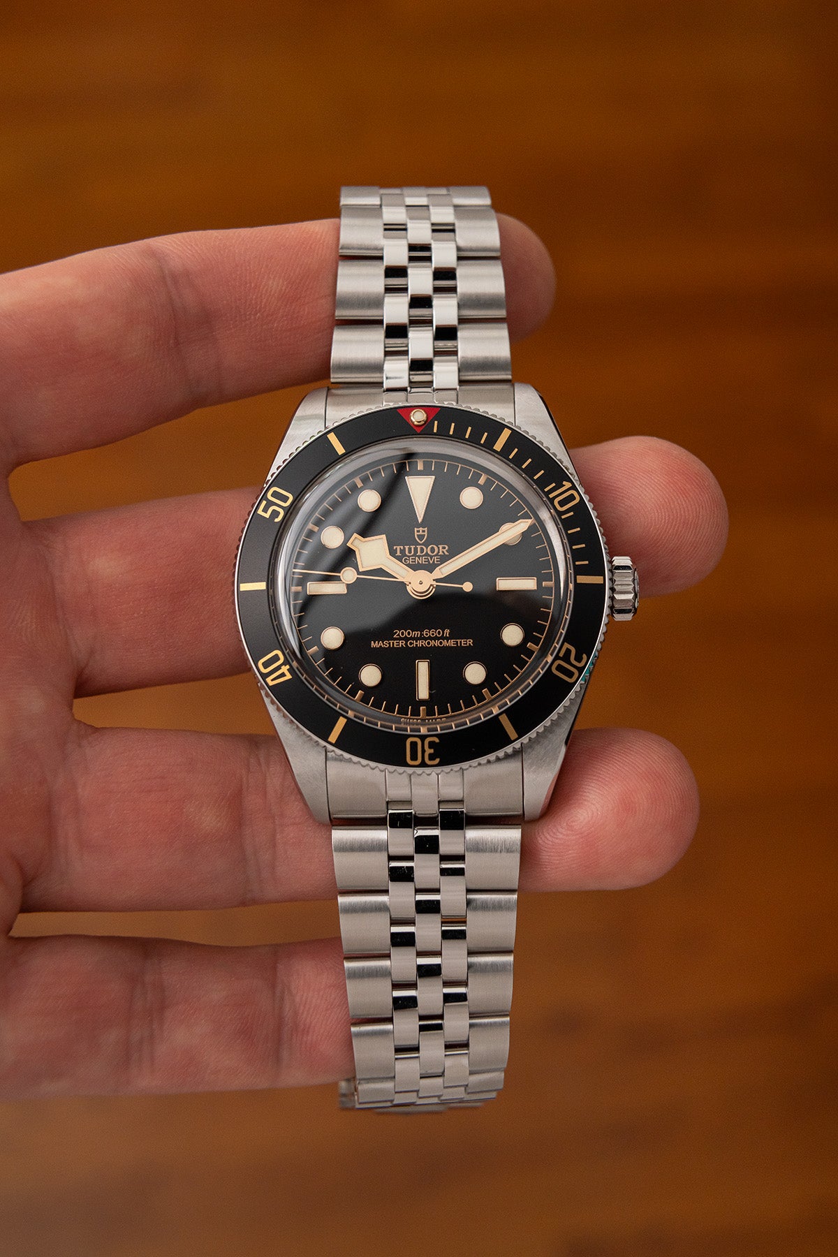 Tudor M7939A1A0NU Black Bay 58