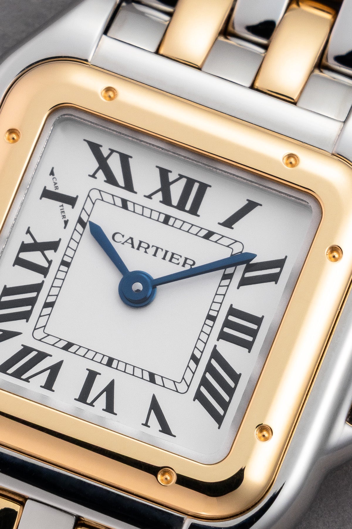 Panthère W2PN0018 "Small Bicolor"