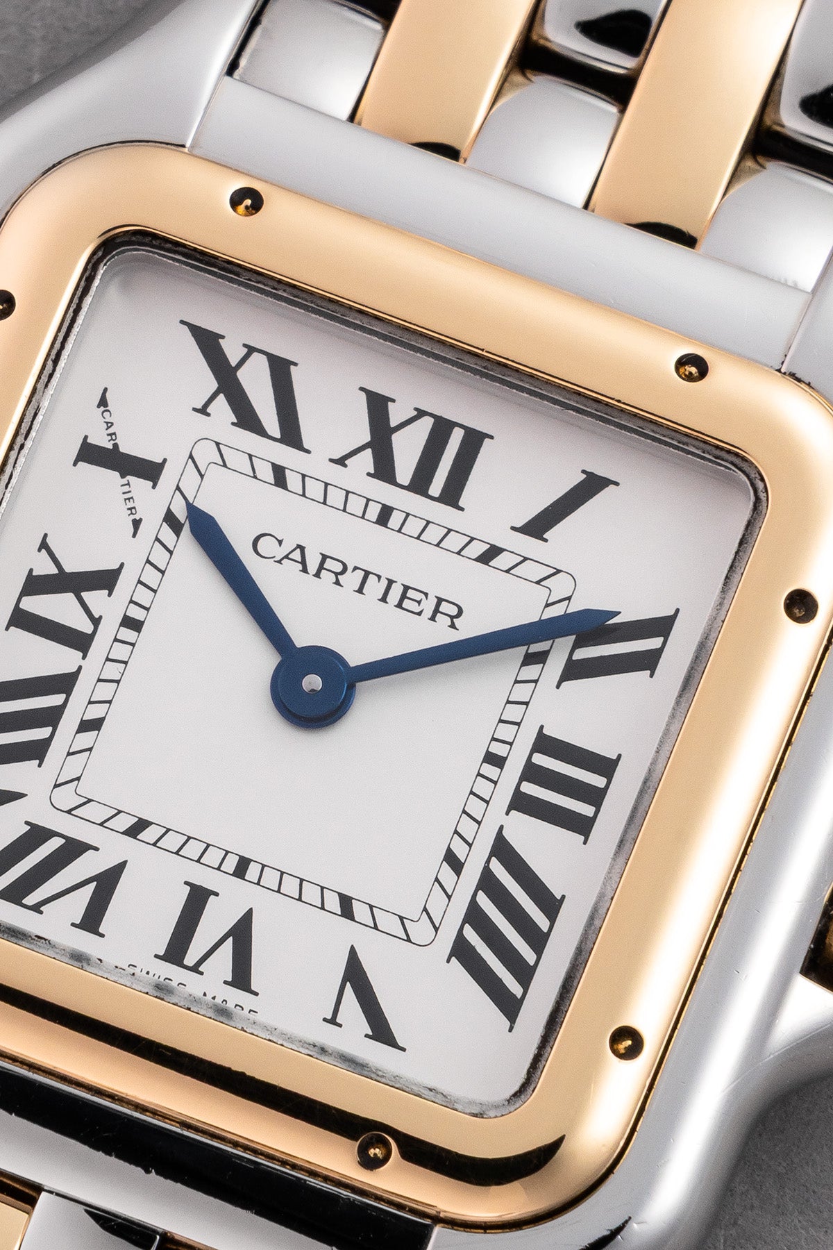 Panthère W2PN0007 "Medium"