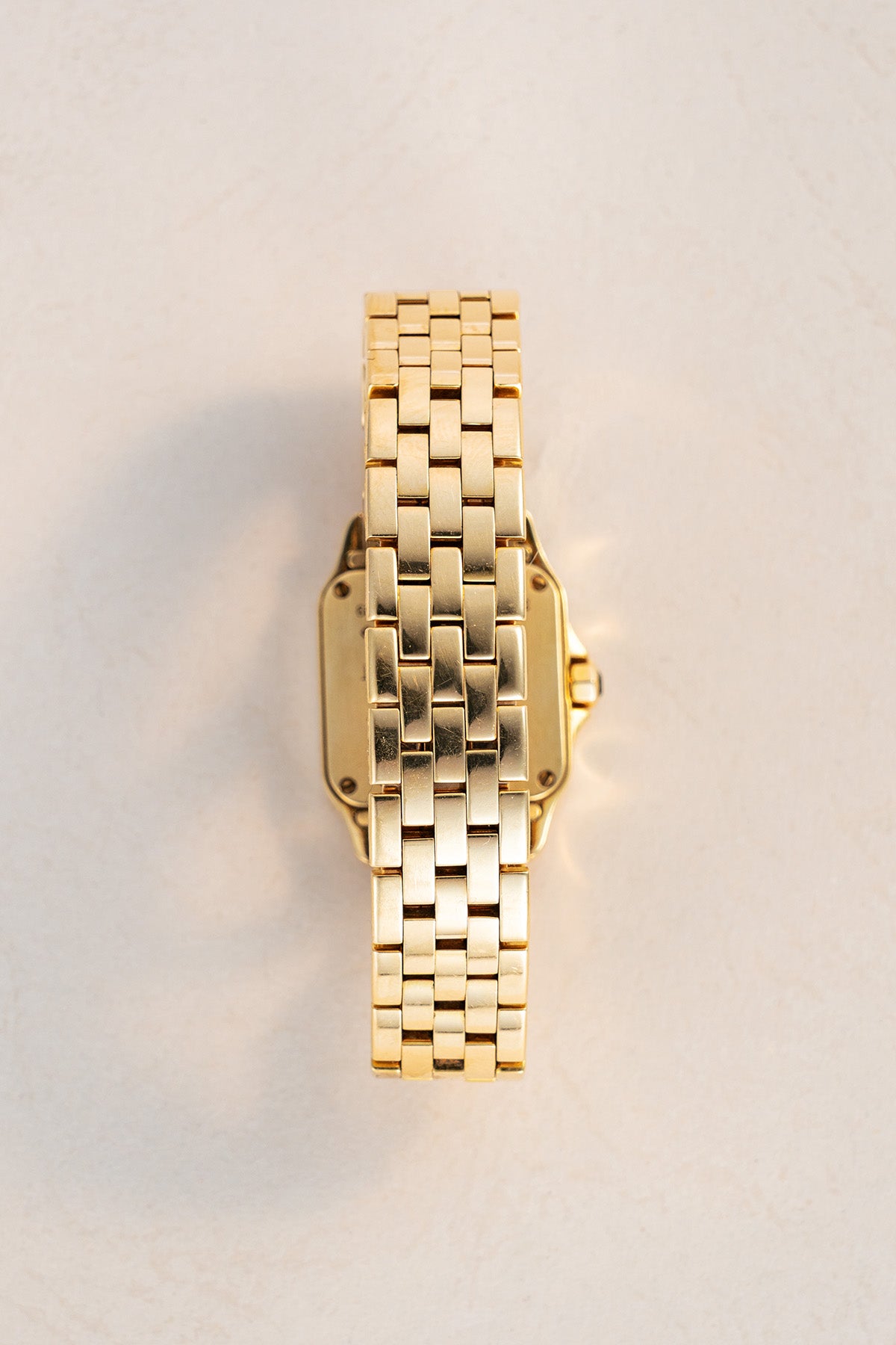 Santos Demoiselle 2699