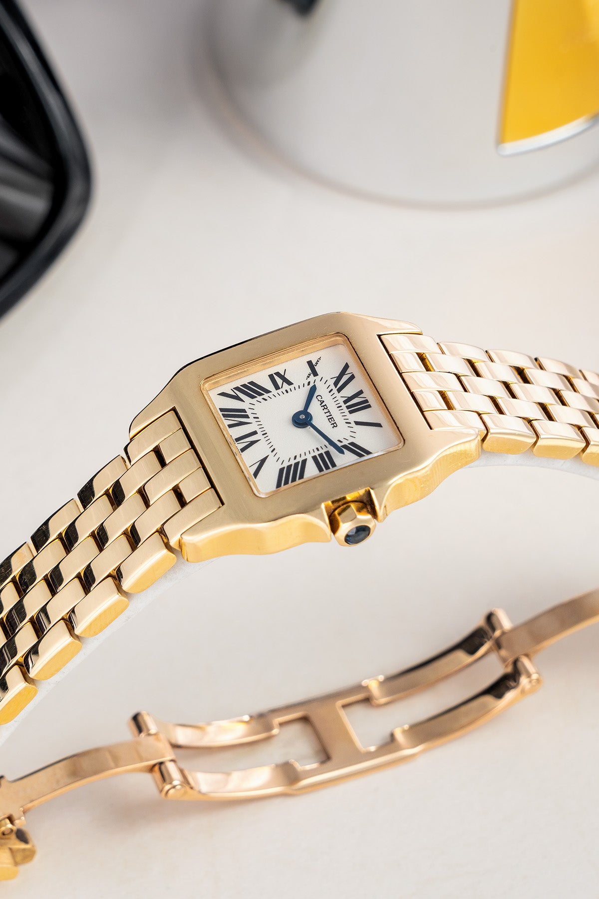 Santos Demoiselle 2699