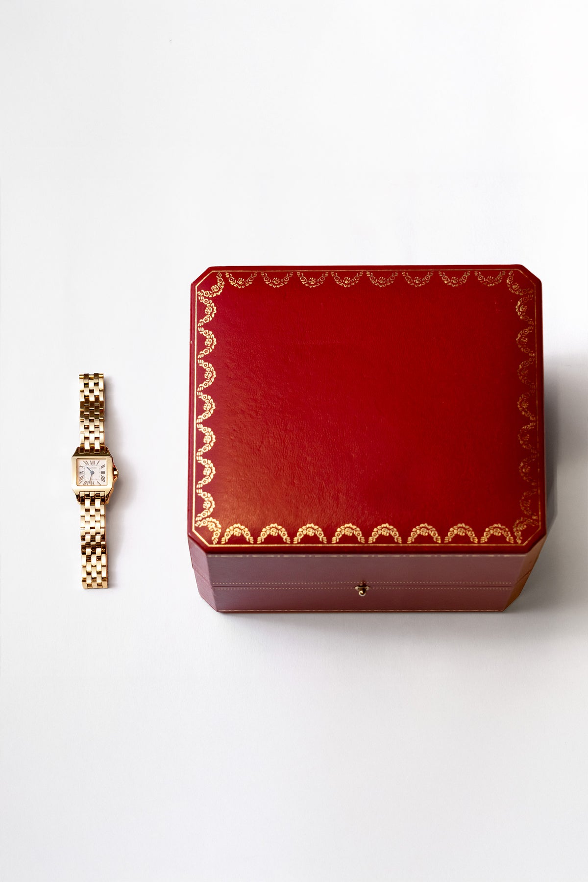 Santos Demoiselle 2699