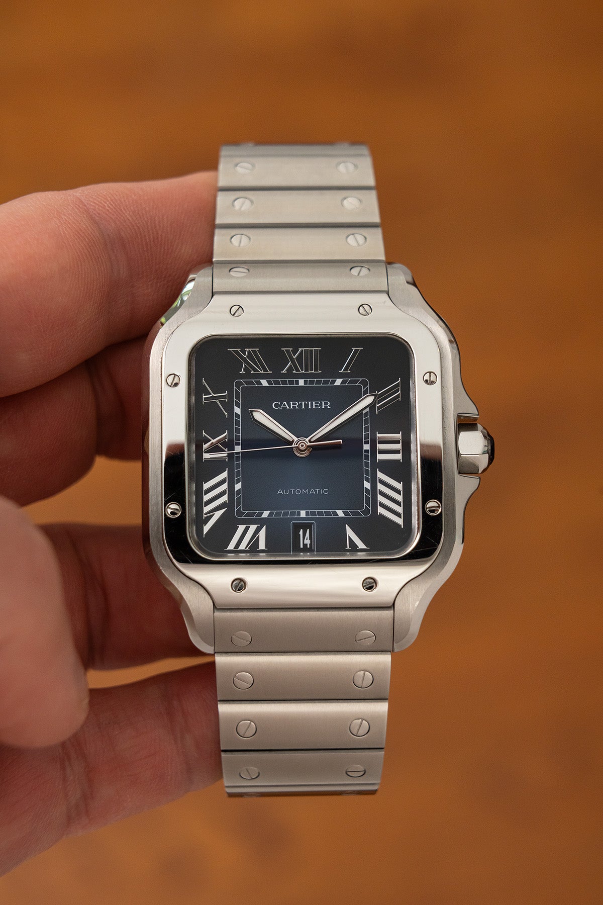 Cartier Santos Large WSSA0071